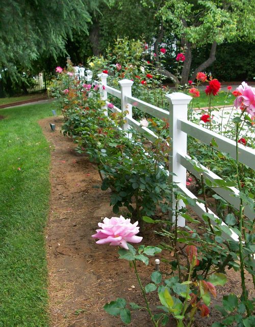 Three-Rail-Ranch-Style-Front-Yard-500x640