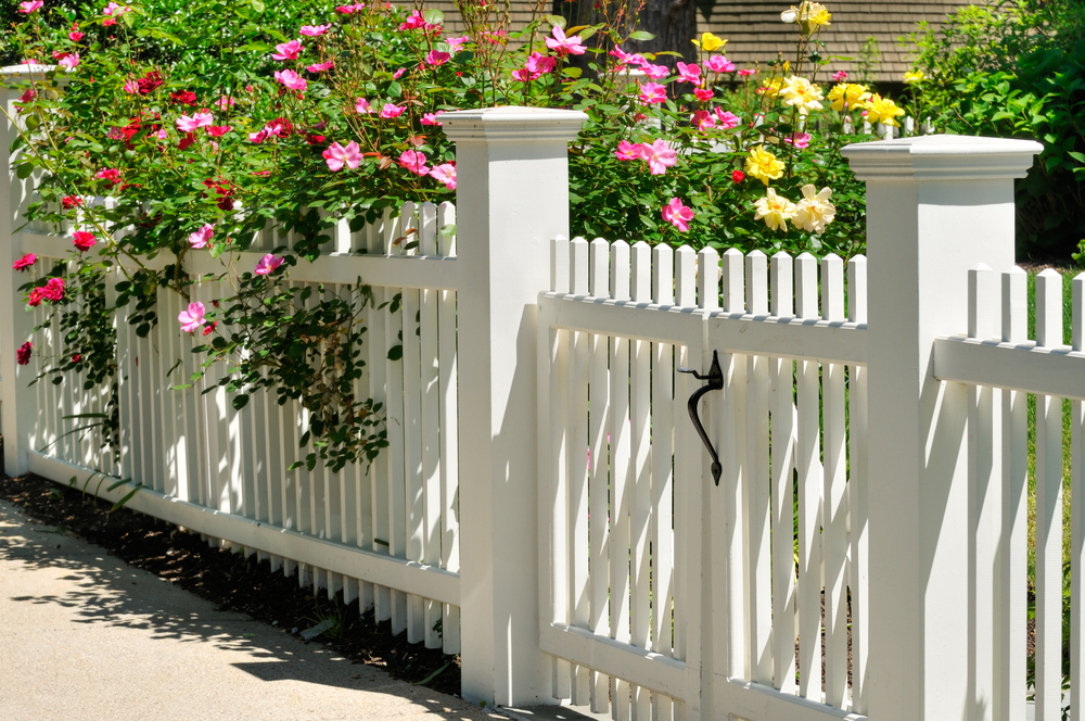 Gate,,Fence,And,Climbing,Roses